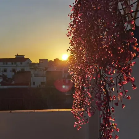 La Luz De San Eloy Cordoba
